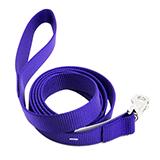 Nylon Dog Leash 1-inch x 6 foot Purple