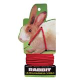 Rabbit Lead/Harness Red