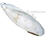 Cuttlebone Bulk Jumbo