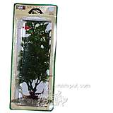 Cabomba Small Plastic Aquarium Plant