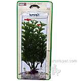 Cabomba Medium Plastic Aquarium Plant
