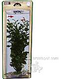 Cardamine Large Plastic Aquarium Plant