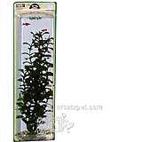 Ludwigia Xlarge Plastic Aquarium Plant