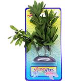 Water Hedge Small Plastic Aquarium Plant