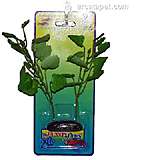 Cardamine Medium Plastic Aquarium Plant