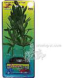 Water Hedge Medium Plastic Aquarium Plant