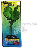 Nymphoides Medium Plastic Aquarium Plant