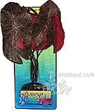 Red Lotus Medium Plastic Aquarium Plant