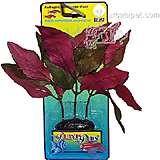Hygrophila Medium Plastic Aquarium Plant