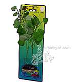 Cardamine Large Plastic Aquarium Plant