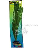 Crispus Sword Large Plastic Aquarium Plant
