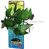 Hygrophila Large Plastic Aquarium Plant