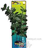 Bacopa XLarge Plastic Aquarium Plant