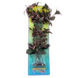 Rotala Serrate Bushy Plastic Aquarium Plant