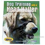 Dog Training with Head Halters