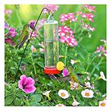 Perky Pet Hummingbird Feeder for planter