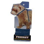 Ferret Lead and Harness Blue