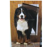PetSafe Classic Door Satin XL