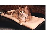 Lectro Thermo Kitty Mat 12x25