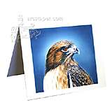 Note Card Red-Tailed Hawk