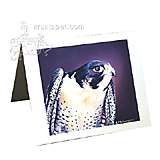 Note Card Peregrine Falcon