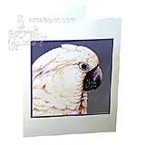 Note Card White Cockatoo