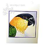 Note Card Black-headed Caique