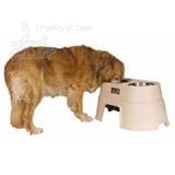 Healthy Pet Diner 12 inch