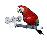 Shower and Window Bird Perch Lg