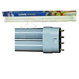 AGA 8,000K Full Spectrum Compact Fluorescent Bulb
