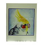 Note Card Cockatiel