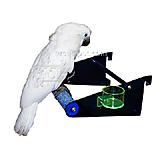 Acrylic Cement Bird Cage Perch XLarge