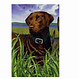 GR8 Dogs Chocolate Labrador  House Flag