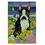 GR8 Dogs Boston Terrier House Flag