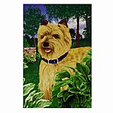GR8 Dogs Cairn Terrier House Flag