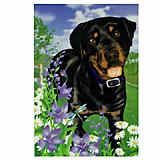 GR8 Dogs Rottweiler Garden Flag