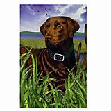 GR8 Dogs Chocolate Labrador Garden Flag