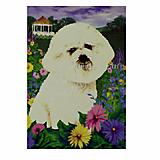 GR8 Dogs Bichon Frise Garden Flag