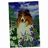 GR8 Dogs Shetland Sheepdog Garden Flag