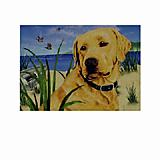 GR8 Dogs Yellow Labrador Indoor/Outdoor Floor Mat