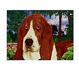 GR8 Dogs Basset Hound Indoor/Outdoor Floor Mat