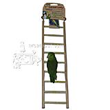 Penn Plax 9-Step Cement Ladder Small Bird