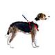 Adjustable Small Dog Harness 5/8-inch Red Nylon