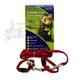 Ferret Fun 5-in-one Harness Red