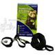 Ferret Fun Black Five in One Ferret Harness