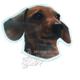 Vinyl Dog Magnet with Dachshund Small