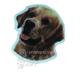 Vinyl Dog Magnet with Golden Retriever Small