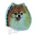Vinyl Dog Magnet with Pomeranian Small