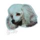 Vinyl Dog Magnet with Poodle Small