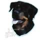 Magnet Rottweiler Small